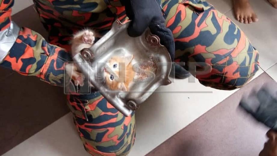 ANGGOTA Bomba mengeluarkan anak kucing yang tersangkut pada alat ganti kereta. FOTO ihsan Bomba