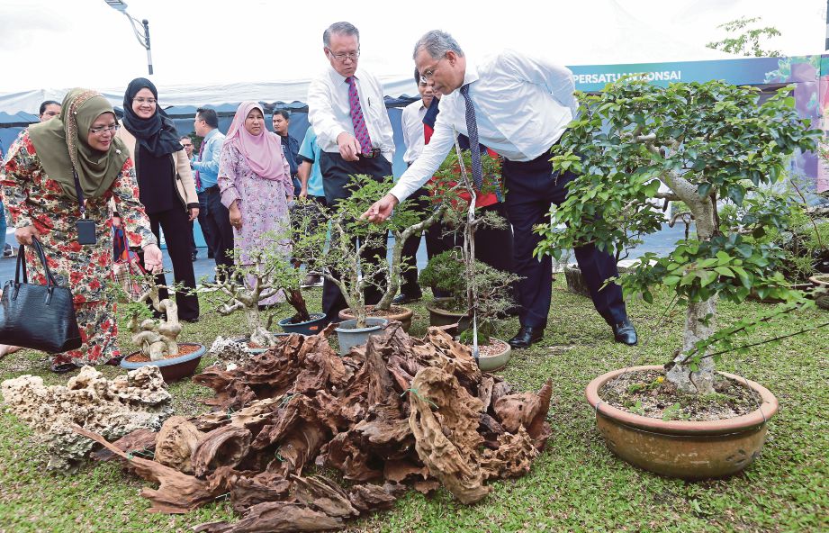 MHD Amin (dua dari  kanan) melihat pokok bonsai ketika melakukan lawatan persiapan Kuala Lumpur Orchid & Bonsai Show 2017.