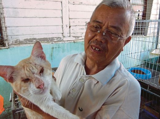 RM3,000 sebulan bela kucing