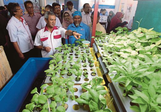 DR Mohd Fauzi  (hadapan) melihat  sayur yang ditanam secara  hidroponik selepas perasmian Ekspo Pertanian dan Pesta Konvokesyen Universiti Putra Malaysia (UPM) 2015, semalam.