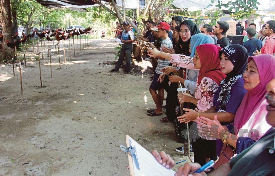 GELAGAT peserta wanita berdiri dan berteriak selama 10 minit memberi sokongan kepada ayam hutan masing-masing bagi merebut gelaran juara pertandingan ayam sorak di Kampung Padang Lati. FOTO Nik Abdullah Nik Omar