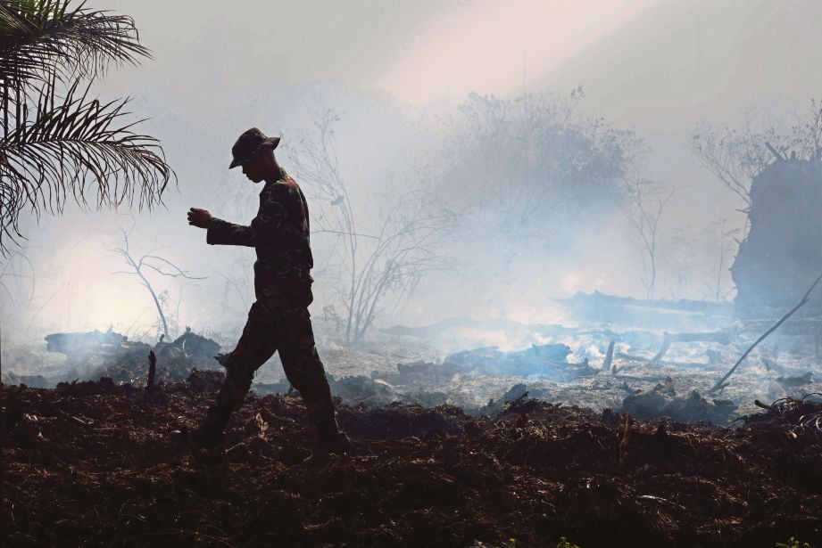SEORANG askar memeriksa kawasan belukar yang terbakar di Meulaboh, Aceh  minggu lalu. - AFP