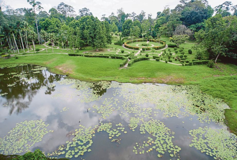 KEINDAHAN  tanaman herba dan ubat-ubatan di Taman Botani Negara Shah Alam.