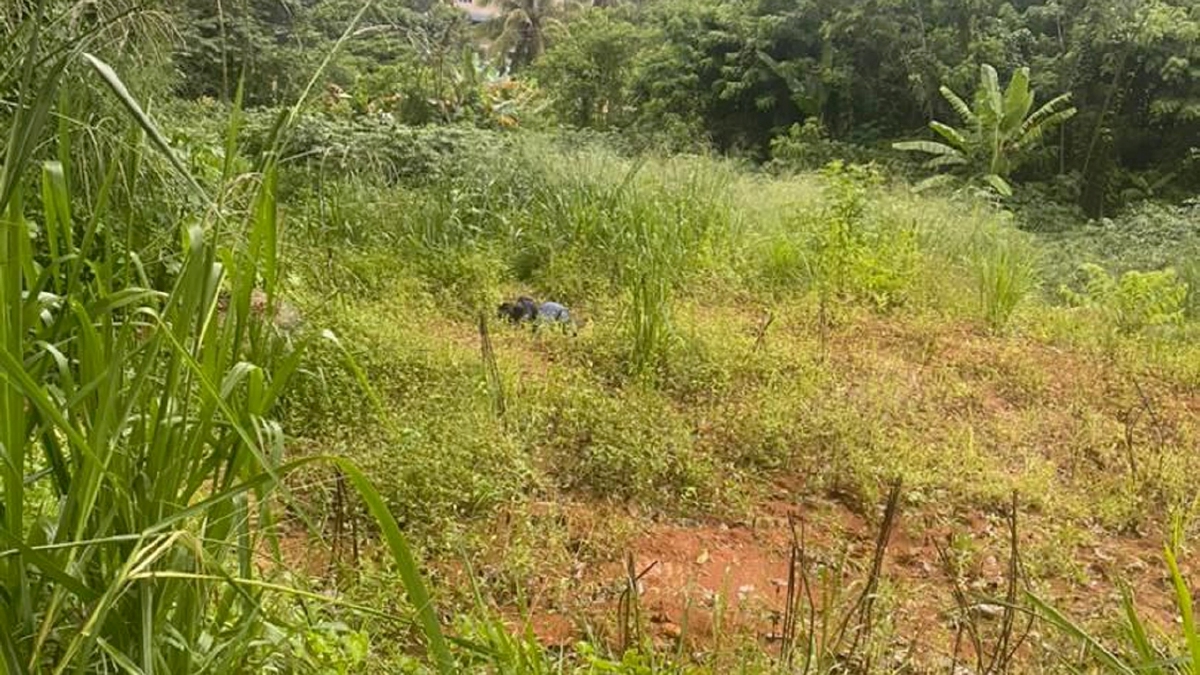 MAYAT lelaki dipercayai dibunuh ditemui di kawasan semak. FOTO ihsan pembaca