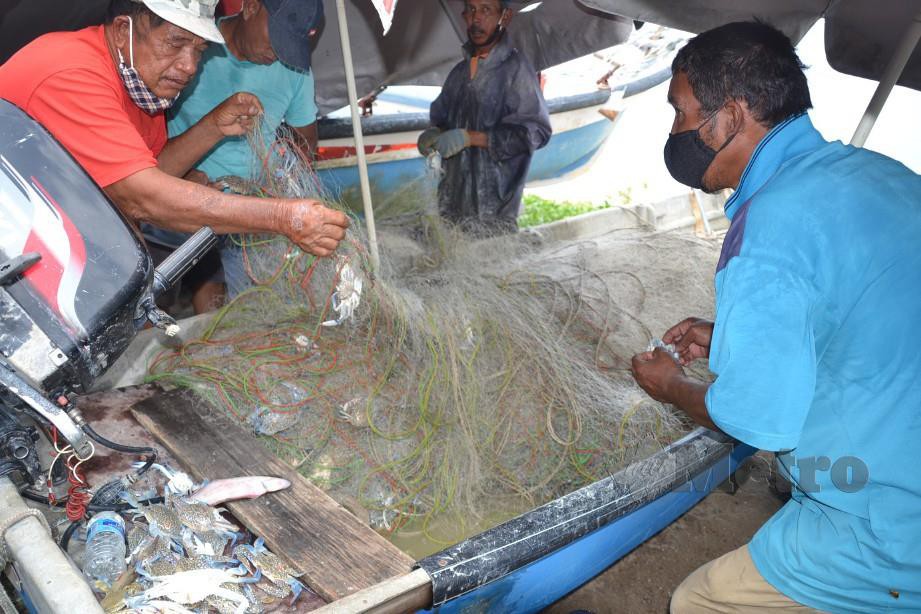 Abdullah Atan dibantu nelayan lain menanggalkan ketam yang tersangkut pada jaringnya di Balai Nelayan Pengkalan Balak, dekat Alor Gajah. FOTO HASSAN OMAR
