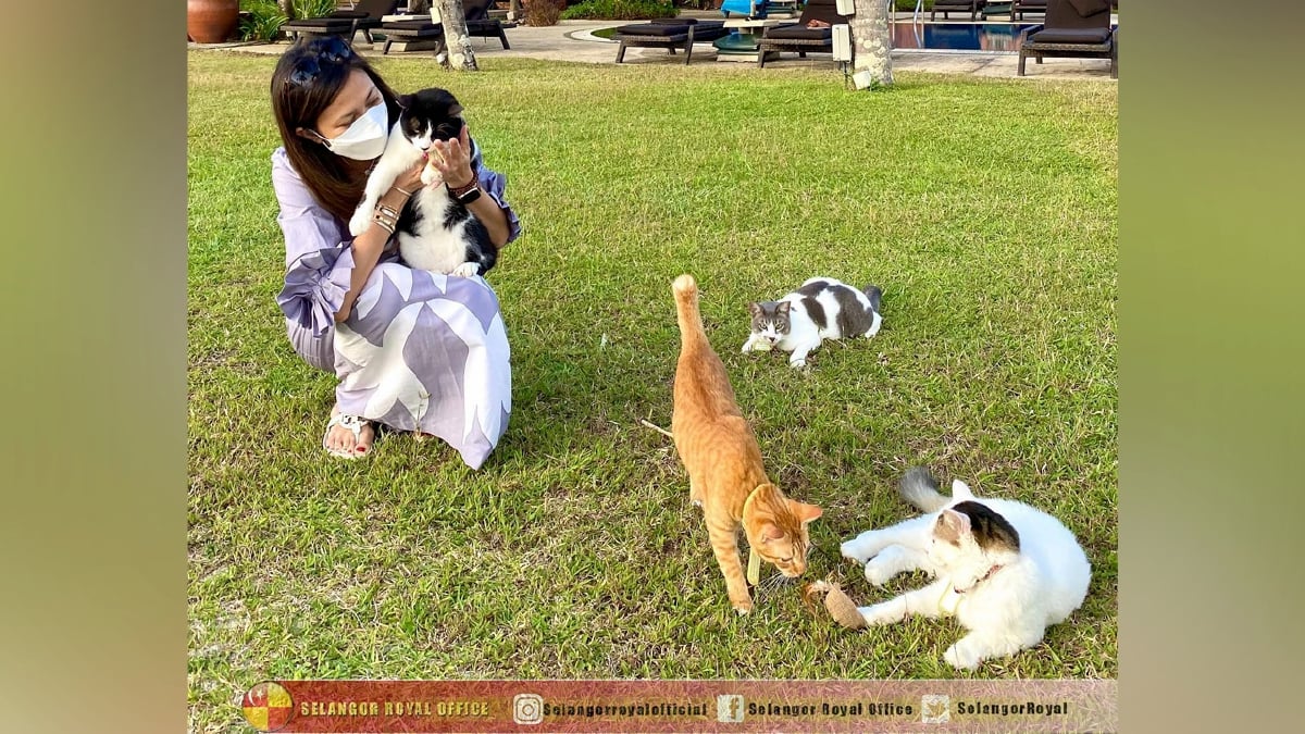 TENGKU Permaisuri Norashikin mengambil empat ekor kucing terbiar di sekitar Pantai Cenang, Langkawi untuk dijadikan haiwan angkat. FOTO Facebook Selngor Royal Office