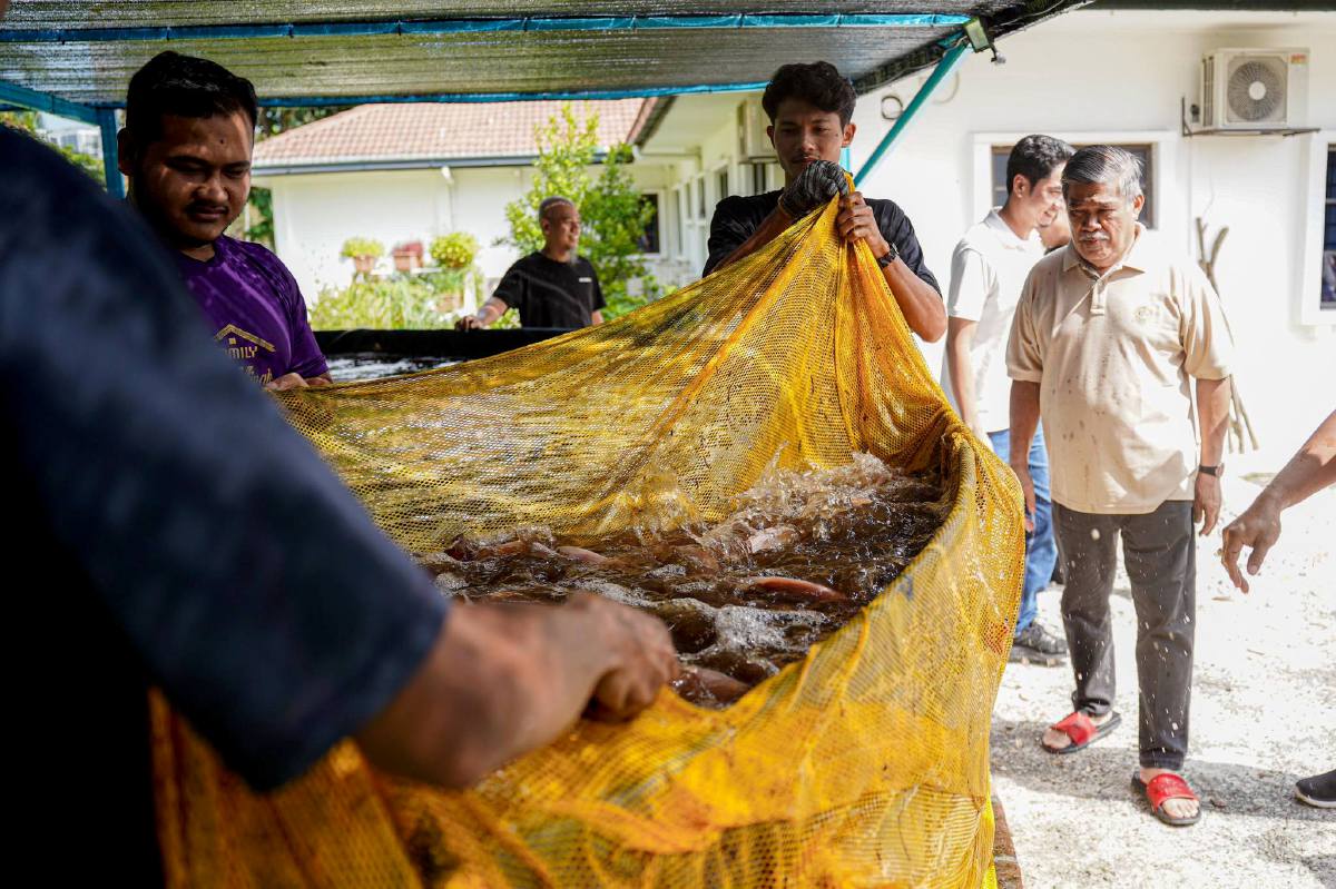 MOHAMAD Sabu melihat hasil ikan talapia yang diternaknya. FOTO Facebook rasmi Mohamad Sabu