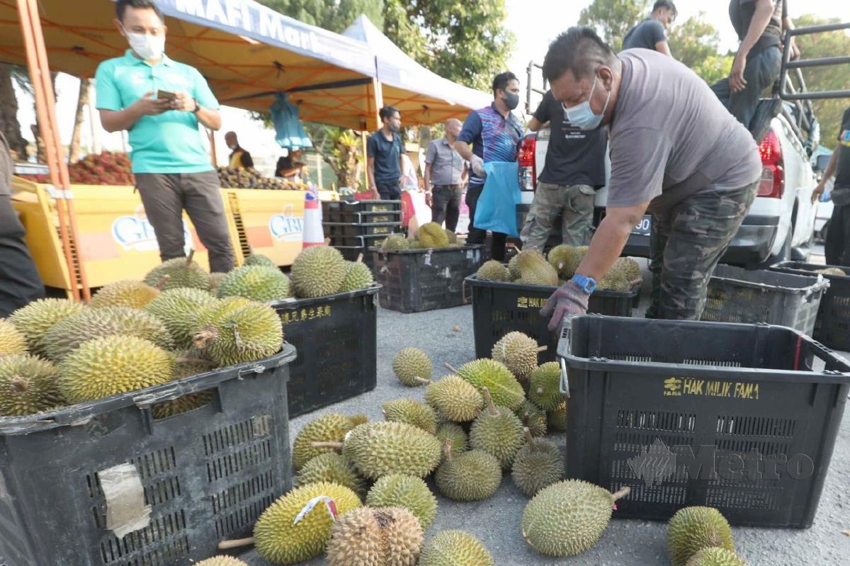 DURIAN dijual ketika promosi buah-buahan bermusim di perkarangan pejabat Fama Pahang. FOTO Mohd Rafi Mamat