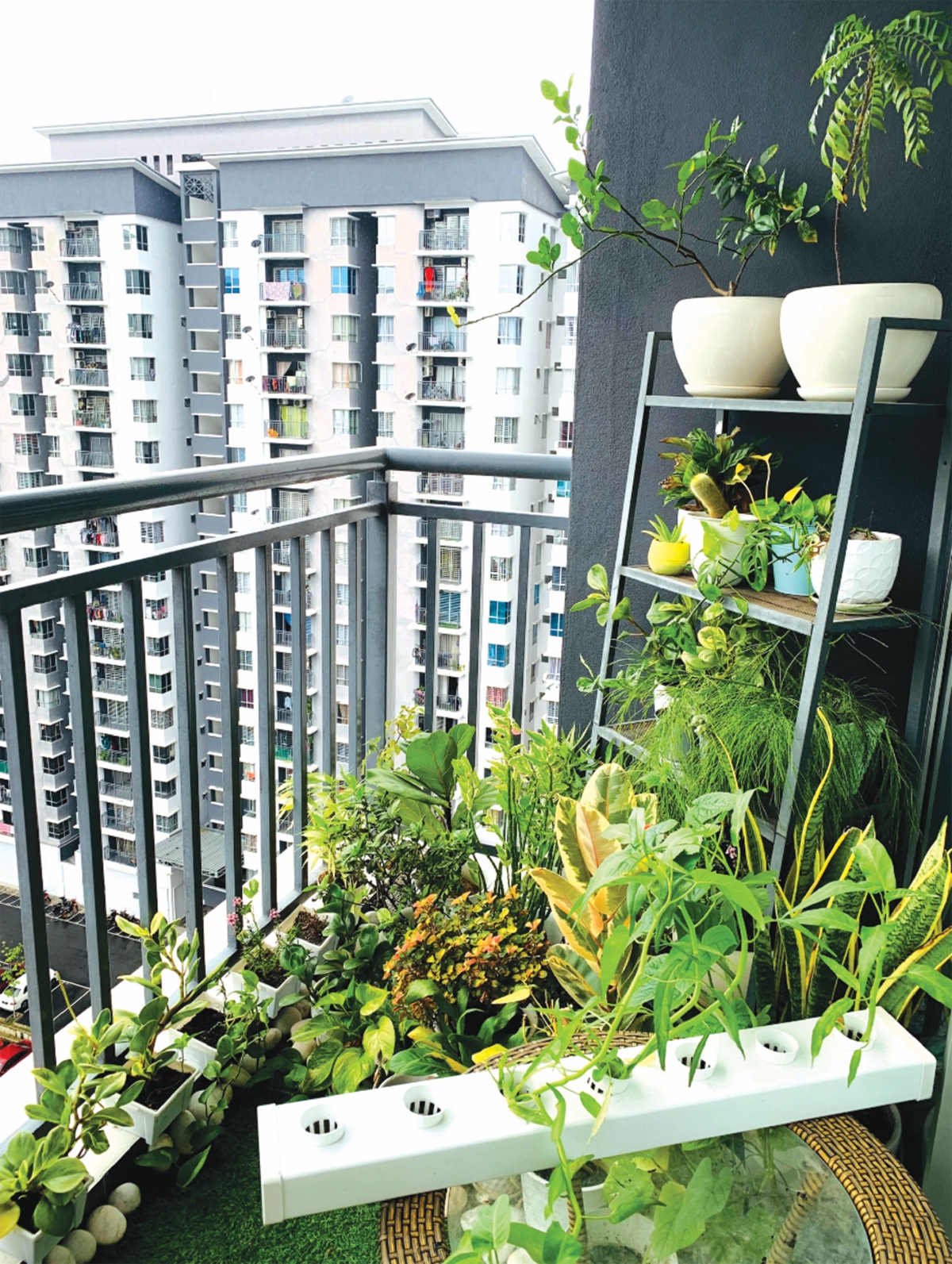 RUANG balkoni yang mempunyai tanaman hijau.