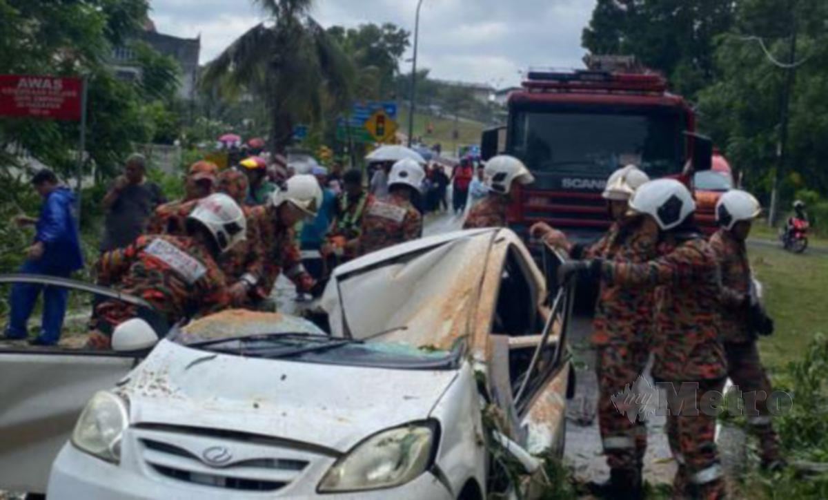 ANGGOTA bomba melakukan operasi mengeluarkan mangsa yang tersepit dalam kereta selepas dihempap pokok tumbang. FOTO Ihsan Bomba.