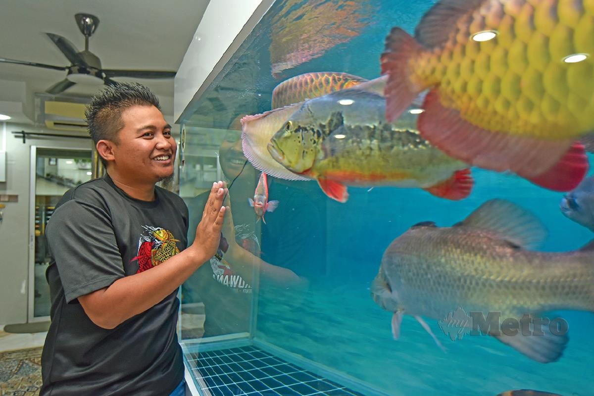 AKUARIUAM bernilai RM10,000 untuk menempatkan pelbagai jenis ikan air tawar.