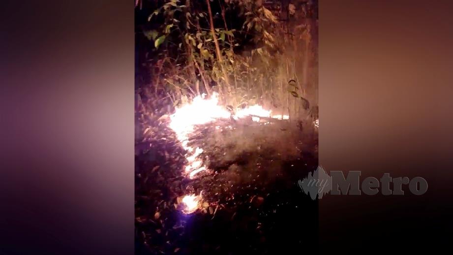 KAWASAN hutan di Bukit Bendera yang terbakar semula selepas api dipadamkan bomba. FOTO ihsan bomba
