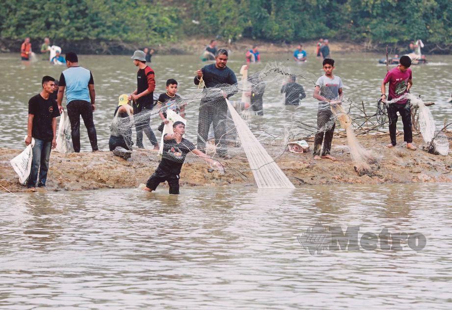SEBAHAGIAN peserta menangkap ikan menggunakan jala pada Pesta Menangkap Ikan Estet Air Tawar Paya Lanar Lanchang.  FOTO Mohd Rafi Mamat