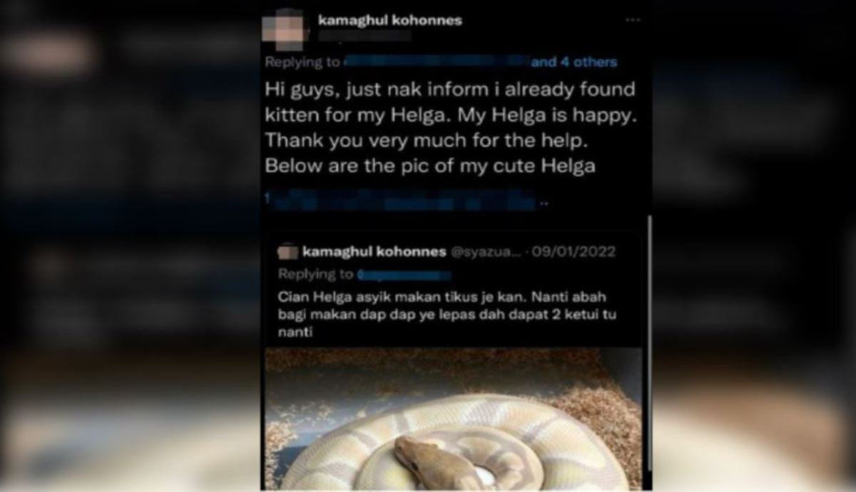 PERKONGSIAN tular di media sosial mengenai individu yang didakwa memberi ularnya makan anak kucing.