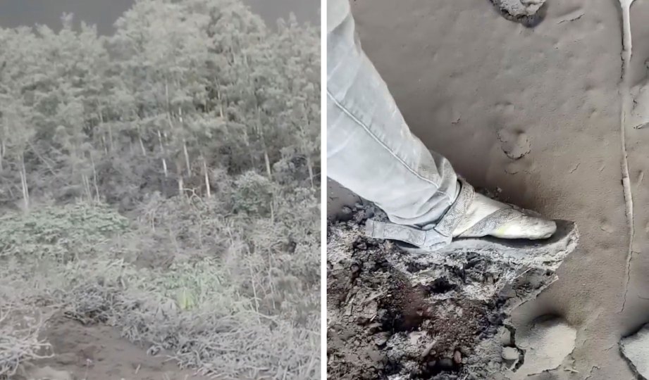 ABU menyelimuti pokok dan kawasan sekitar selepas Gunung Agung memuntahkan abu dan asap pada 26 November lalu. FOTO Instagram/@sang_petual4ng /Reuters