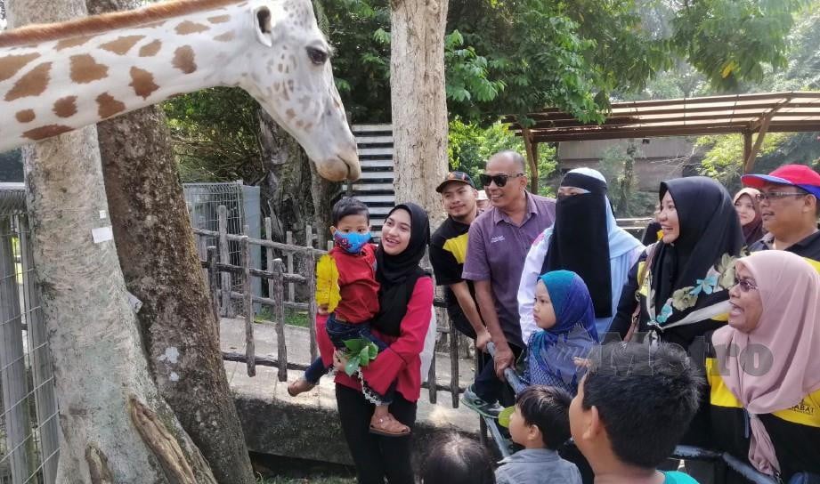 ANAS Mikail melihat zirafah di Zoo Taiping. FOTO Shaiful Shahrin Ahmad Pauzi