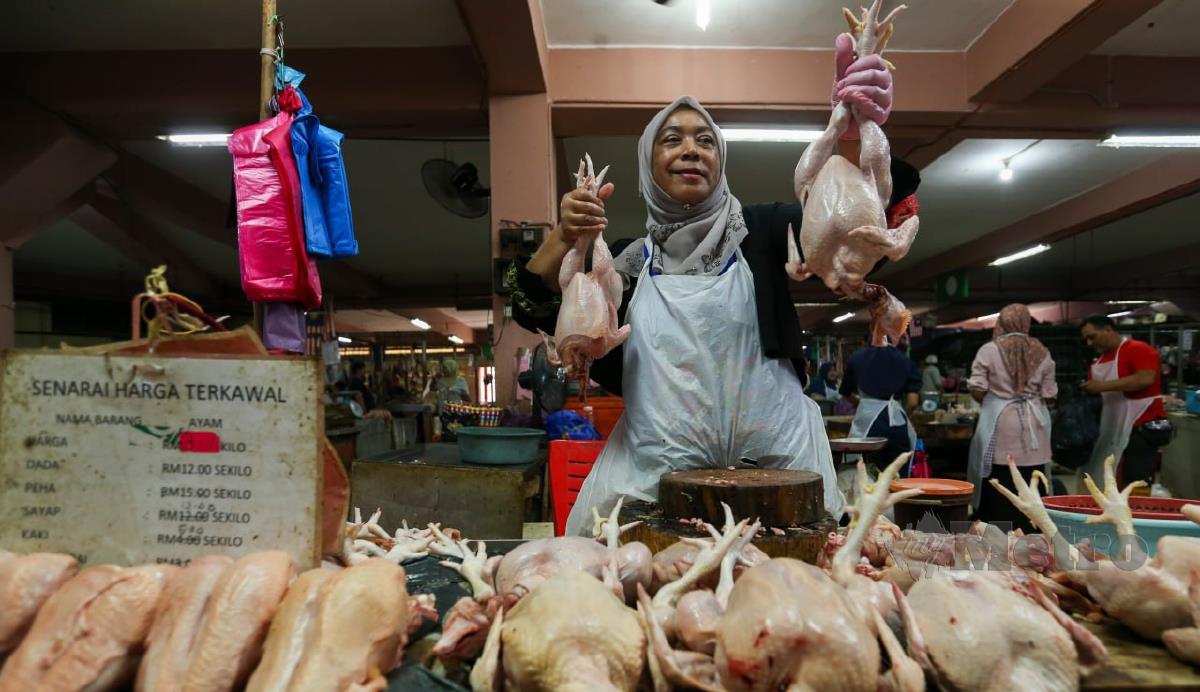 Peniaga, Zarina Abdullah, 54, menyusun ayam untuk dijual kepada pelanggannya ketika tinjauan di Pasar Besar Siti Khadijah. FOTO NIK ABDULLAH NIK OMAR