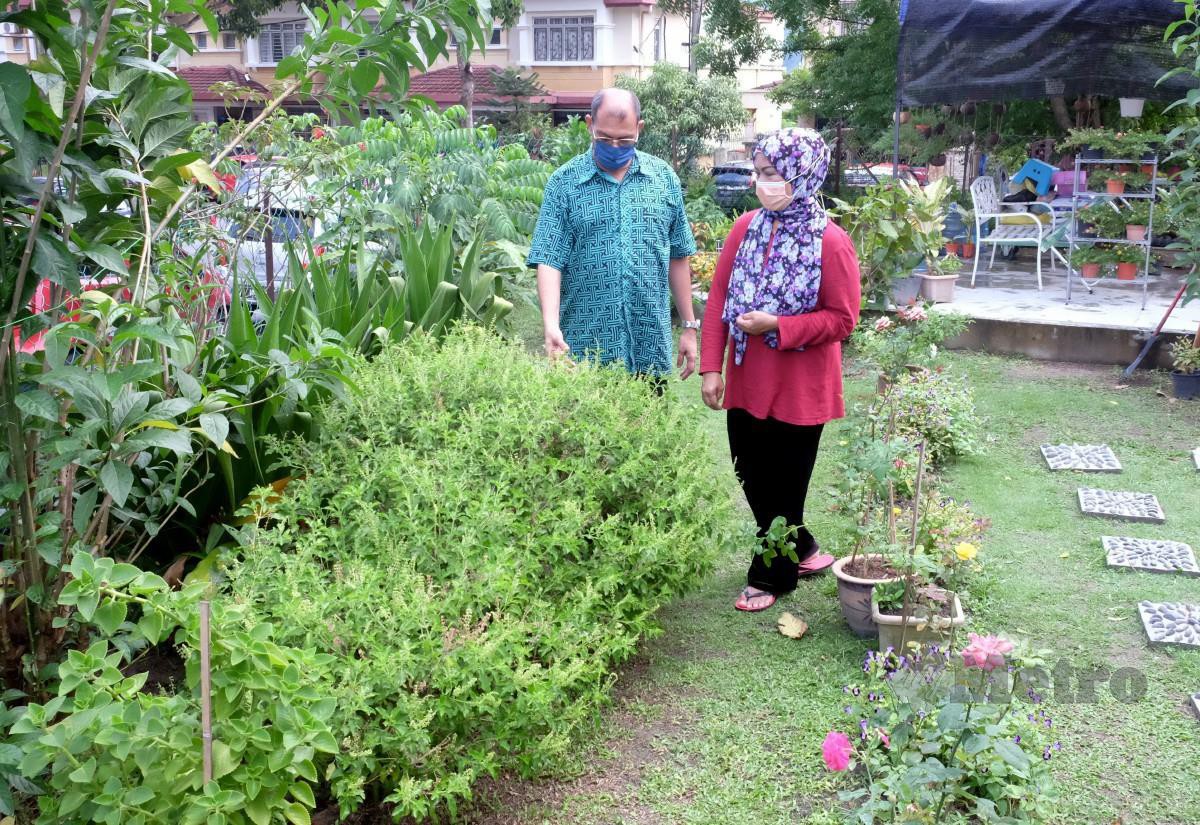Khalid mendengar penerangan Azizah mengenai sebahagian pokok herba yang di tanam di pekarangan rumahnya di Taman Ukay Bistari, Ampang. Foto Mohd Yusni Ariffin