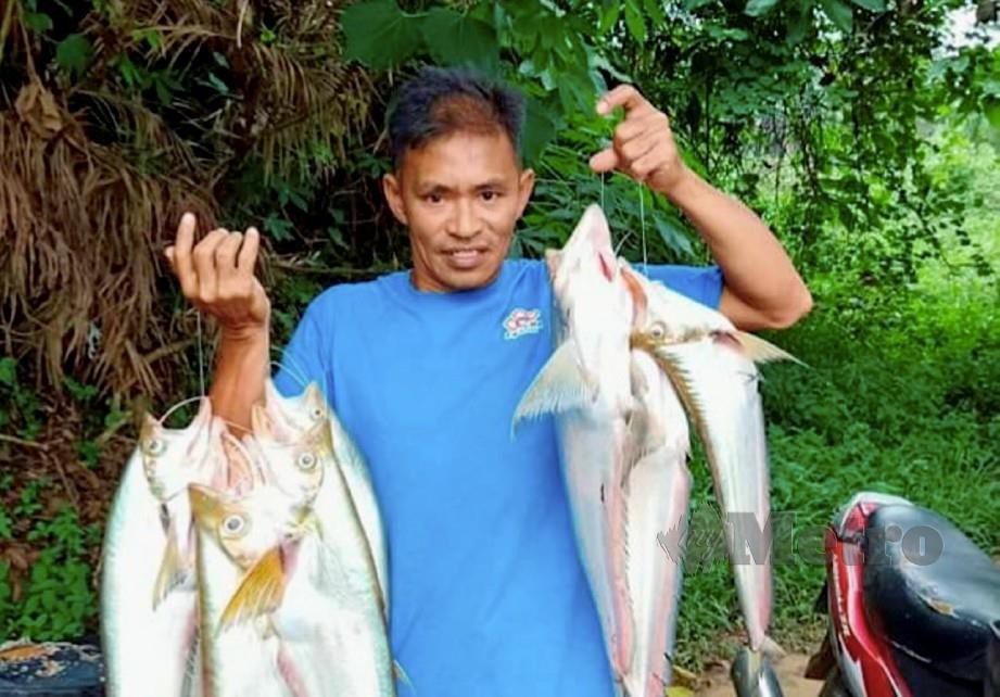 MOHD Nizam bersama 10 ekor ikan gerahak yang diperolehi dari Sungai Pahang.