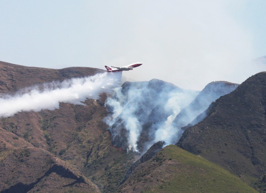  4.1 juta hektar hutan dan padang rumput di Bolivia musnah akibat kebakaran yang tercetus sejak Ogos lalu. FOTO REUTERS