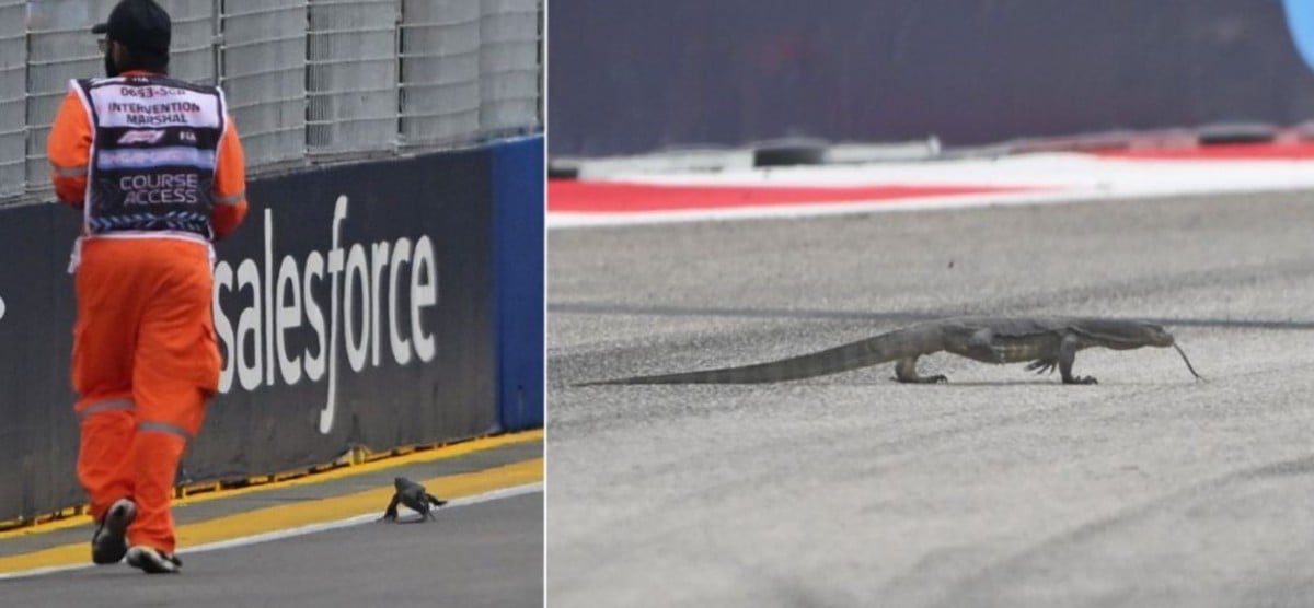 BIAWAK masuk ke dalam litar di sesi latihan bebas GP Singapura. FOTO Agensi