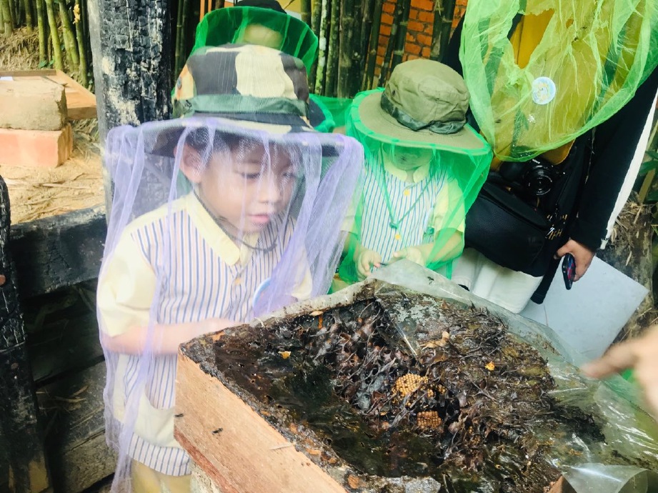 KANAK-kanak didedahkan dengan lebah kelulut.