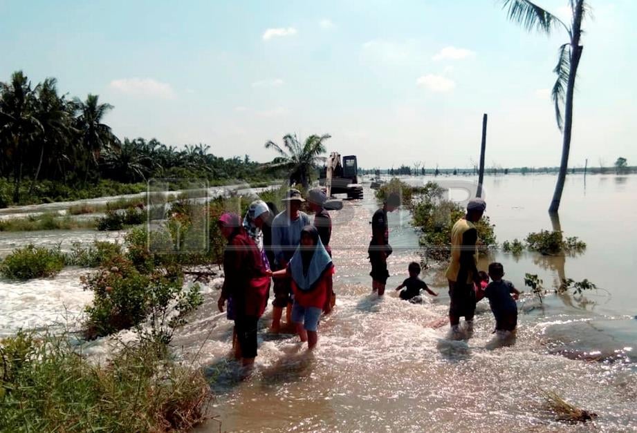 PENDUDUK melihat limpahan air laut melepasi benteng sekali gus membanjiri daratan menuju ke rumah dan kebun di Kampung Jambi Laut, Rengit, hari ini. Foto FARID NOH