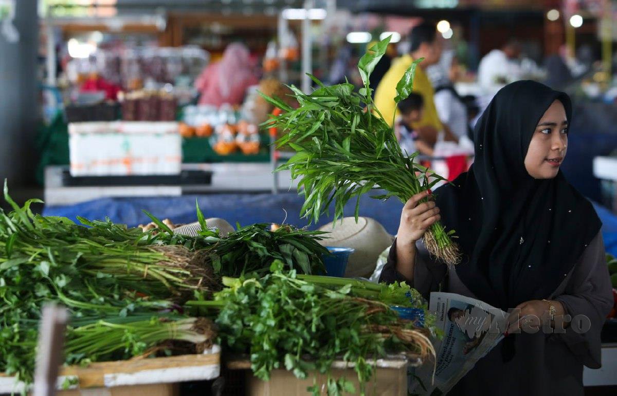 Farida Hamimi menyusun sayur yang baru sampai untuk dijual kepada pelanggannya ketika tinjauan di Pusat Transformasi Luar Bandar (RTC) Tunjong. FOTO NIK ABDULLAH NIK OMAR