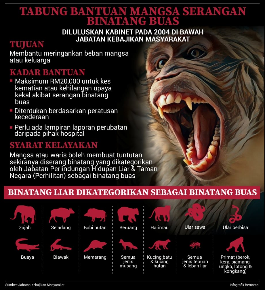 Infografik PH u2013 UMNO u0026 BN DLM PRU 15 MERAMPAS KELANTAN 