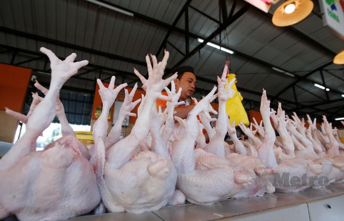 Tinjauan harga ayam di Pasar Harian dan Pasar Tani Selayang. FOTO EIZAIRI SHAMSUDIN