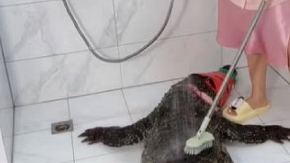 TANGKAP layar daripada video tular menunjukkan wanita itu membersihkan buaya sebelum membunuh haiwan dan memasak dagingnya. 