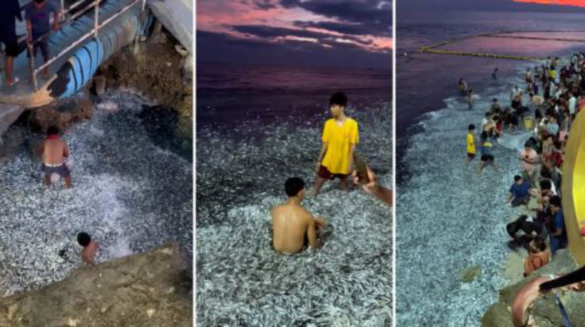 FOTO dikongsi di media sosial menunjukkan penduduk mengambil ikan sardin di pantai di satu lokasi di Sarangani. 