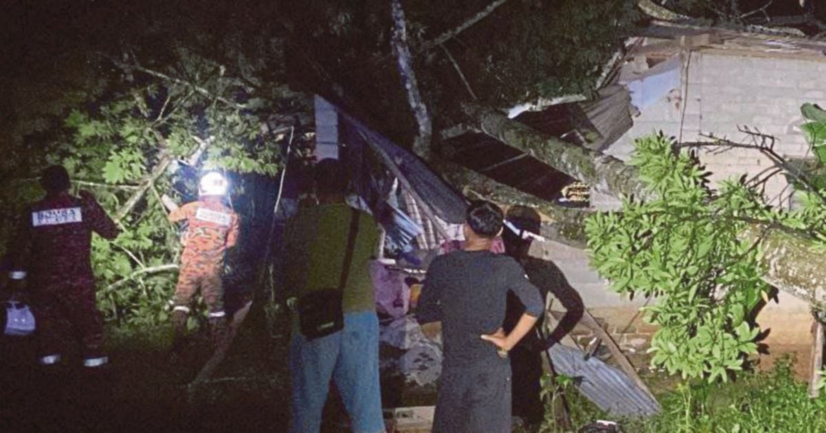 Lelaki parah di kepala akibat rumah dihempap pokok tumbang