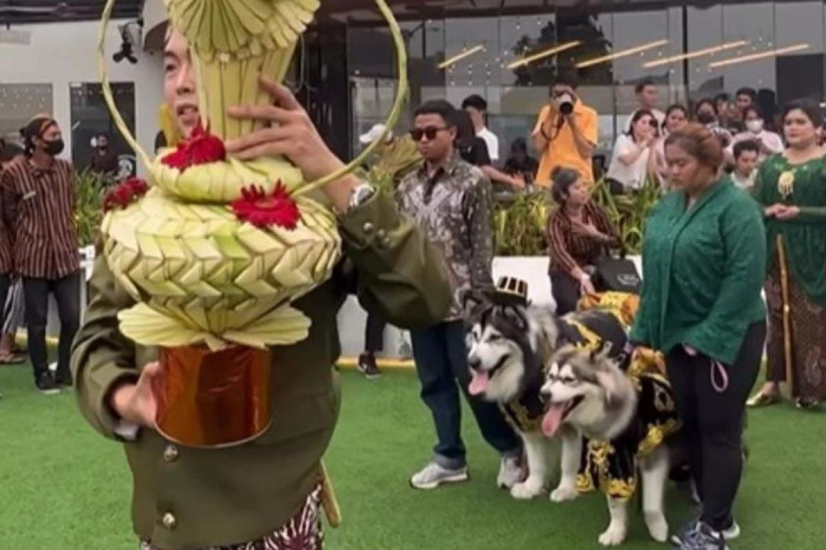FOTO tular menunjukkan perkahwinan anjing itu yang menelan belanja 200 juta rupiah (kira-kira RM60,621). FOTO Instagram