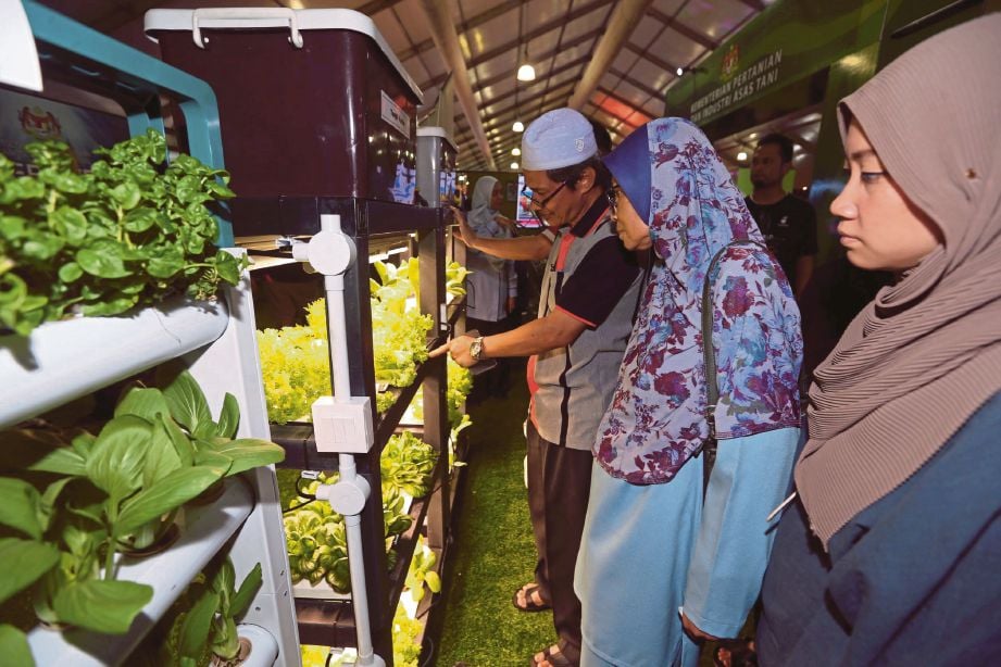 PENGUNJUNG melihat kaedah pertanian hidroponik yang dipamerkan di Jabatan Pertanian sempena HPPNK 2019 di  Padang A, Angsana Johor Bahru Mall, Johor Bahru.
