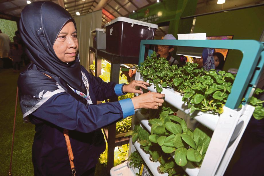 TIMBALAN Ketua Pengarah Jabatan Pertanian (Pengurusan dan pengembangan), Datin Jatil Aliah Ttimin menunjukkan kaedah pertanian hidroponik yang dipamerkan di Jabatan Pertanian sempena HPPNK 2019 di  Padang A, Angsana Johor Bahru Mall, Johor Bahru. 