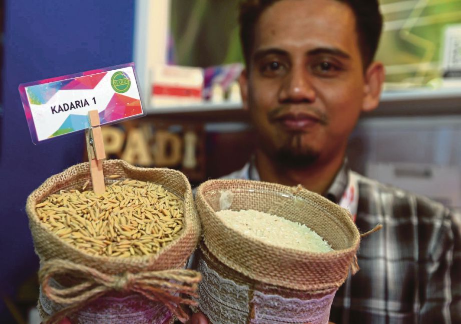 PENOLONG Pegawai Penyelidik, Mohamad Ariff Asrofp Rahim menunjukkan beras hibrid pertama Malaysia yang diberi nama 'Kadaria 1' di Laman Agroteknologi sempena HPPNK 2019 di  Padang A, Angsana Johor Bahru Mall, Johor Bahru. 