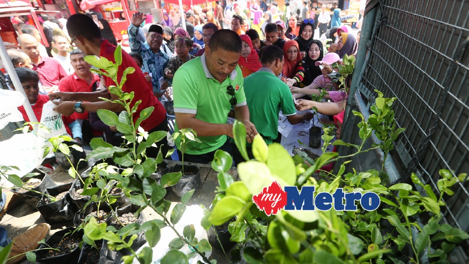 Rangka modul program pertanian bandar | Harian Metro