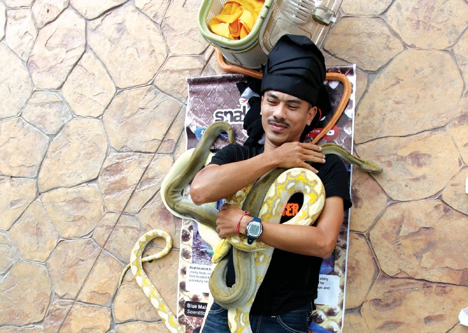 MIJE bersama sebahagian koleksi ular dipelihara.  FOTO: Yazid Razali