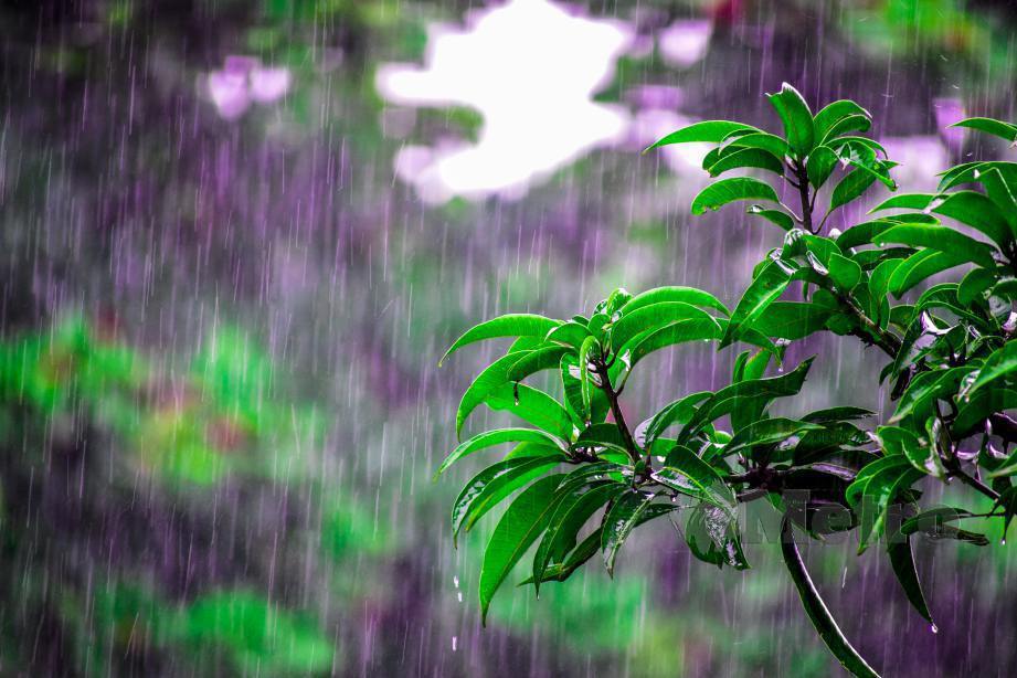 Bumi Melaka di limpahi Hujan
