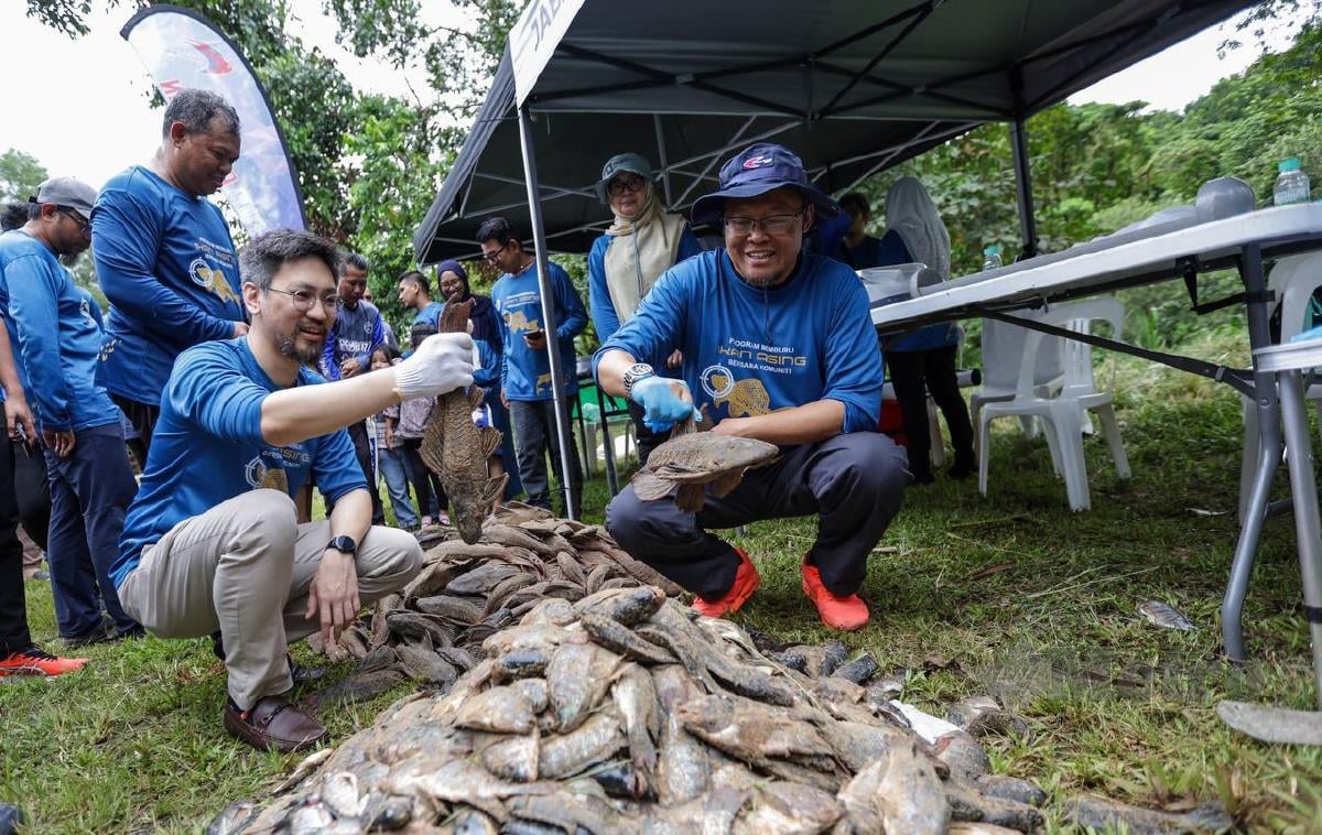 Pengarah Jabatan Perikanan Malaysia, Datuk Adnan Hussain (kanan) dan Pengarah Eksekutif Aquawalk Sdn. Bhd, Daryl Foong menunjukkan ikan bandaraya pada program memburu ikan asing bersama komuniti di Sungai Kuyoh, Bukit Jalil. FOTO ASWADI ALIAS