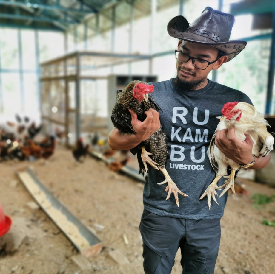 NASRULLAH bersama ayam peliharaannya. FOTO Nasrullah Mujaddidi Md Zaini