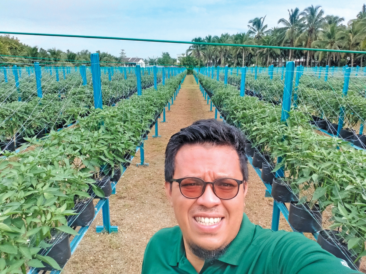 BERMULA daripada ‘terpaksa’ kini Syed Salleh menjadi usahawan pertanian.