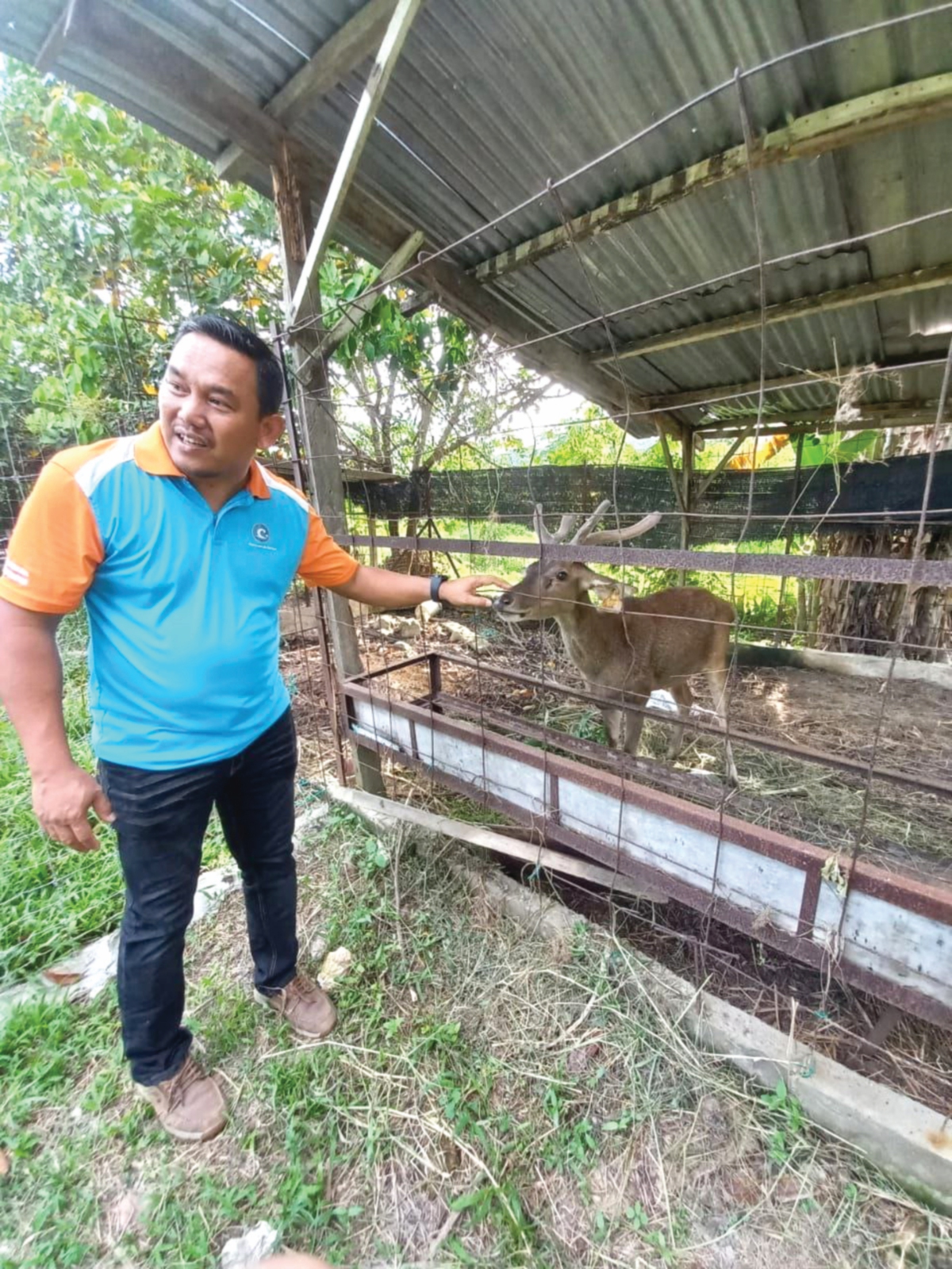 MOHD Amin bersama rusa jinak yang dibela di Dusun Suku Abad.