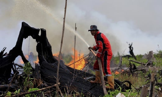 seorang anggota bomba memadamkan api di satu kawasan untuk tanaman kelapa sawit dekat  Tanjung Palas, Dumai, Riau, Sabtu lalu. - Foto AFP/Antara 