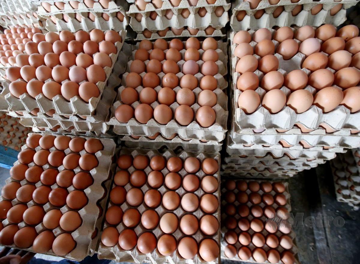 TINJAUAN stok dan harga telur ayam di sekitar Kuala Lumpur. FOTO Eizairi Shamsudin