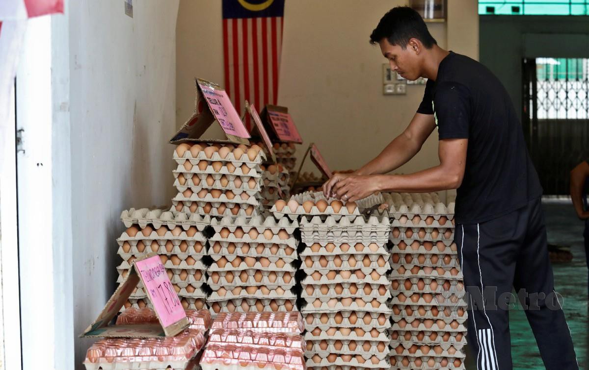 ORANG ramai membeli telur ayam di sebuah kedai di Jalan Sultan Sulaiman, Kuala Terengganu. FOTO Ghazali Kori.