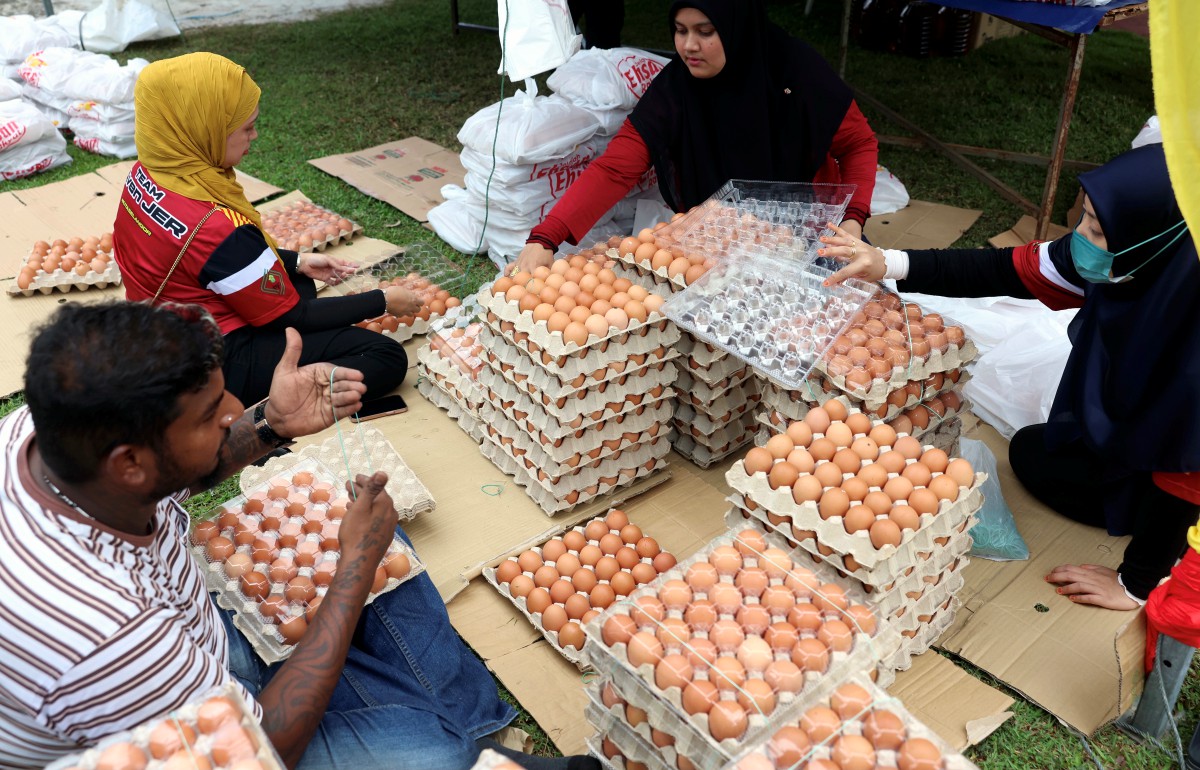 PETUGAS menyusun telur yang diagihkan untuk jualan pada Majlis Pelancaran Jualan Jelajah Ehsan Rakyat (JER) 2.0 di Ampang hari ini. FOTO Bernama.