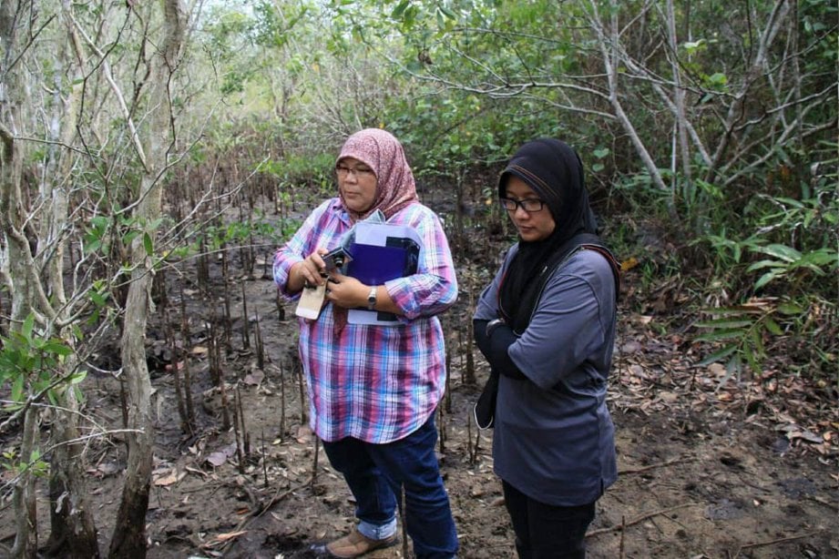 DR Jamilah  (kiri) membuat penyelidikan di lapangan berhampiran pantai di Terengganu.
