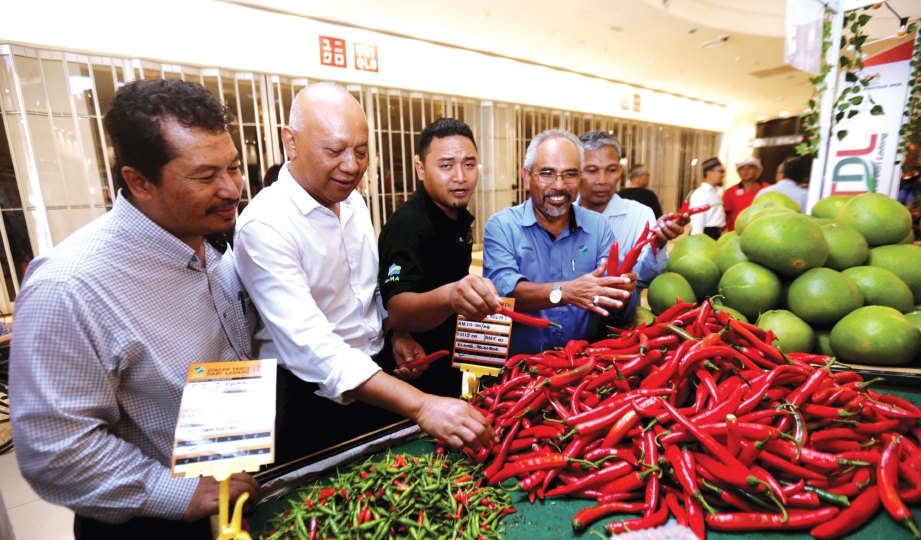 MANSOR (empat dari kiri) melawat gerai peserta yang menjual produk pertanian segar terus kepada pengguna.